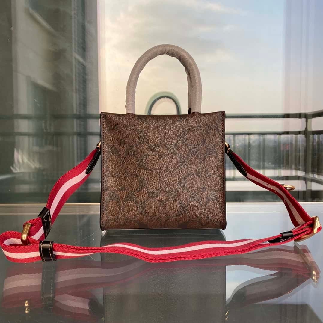 Coach Varsity Mini Cally Shoulder Crossbody Handbag 47382 | Sandra Bags - Image 5