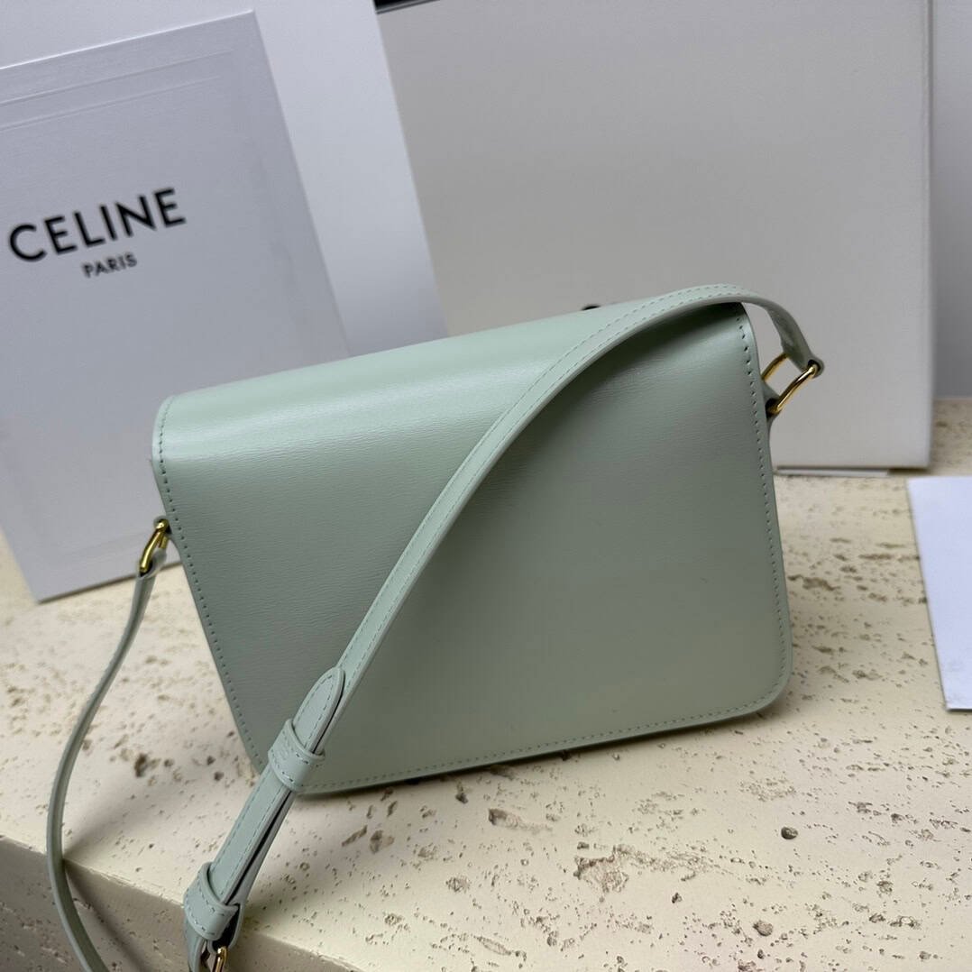 Celine Teen Triomphe Calfskin Handbag - Light Green 72892 | Sandra Bags - Image 5