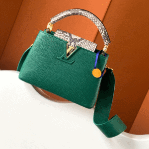 Louis Vuitton Ca Bucines BB Small handbag - Green 17380 | Sandra Bags