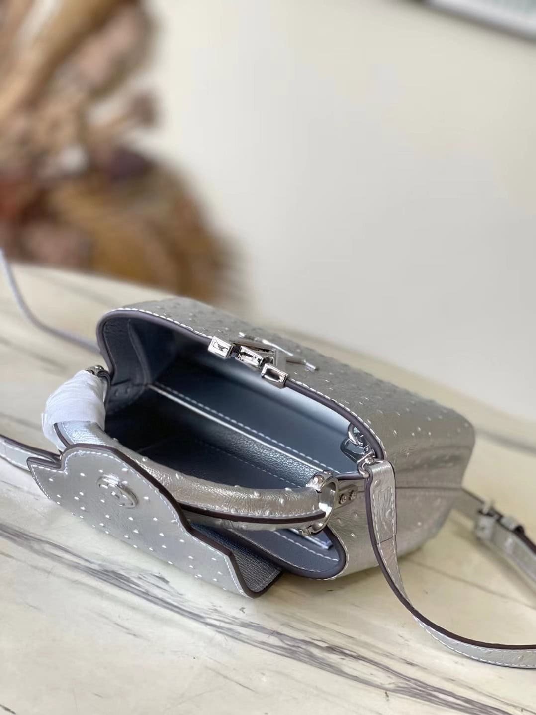 Louis Vuitton Mini Capucines Ostrich Leather Handbag - Silver 76580 | Sandra Bags - Image 2